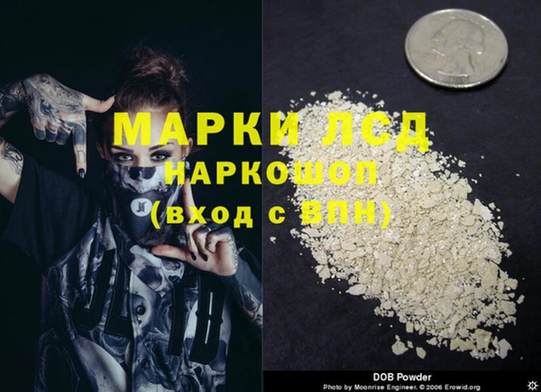 мяу мяу мука Алзамай