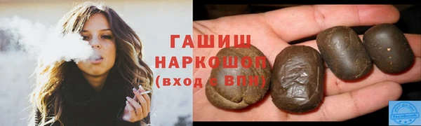 индика Протвино