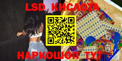 гашик Камышлов