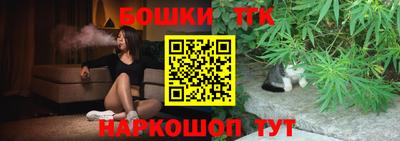 гашик Камышлов
