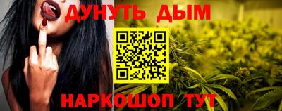 гашик Камышлов