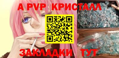 гашик Камышлов