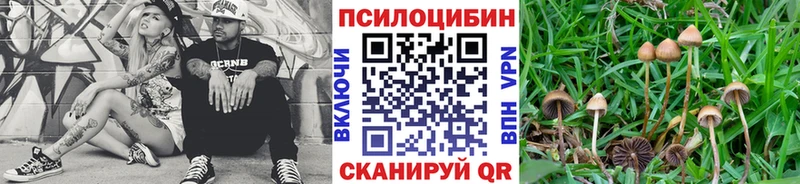 Псилоцибиновые грибы прущие грибы  где найти наркотики  Куйбышев 
