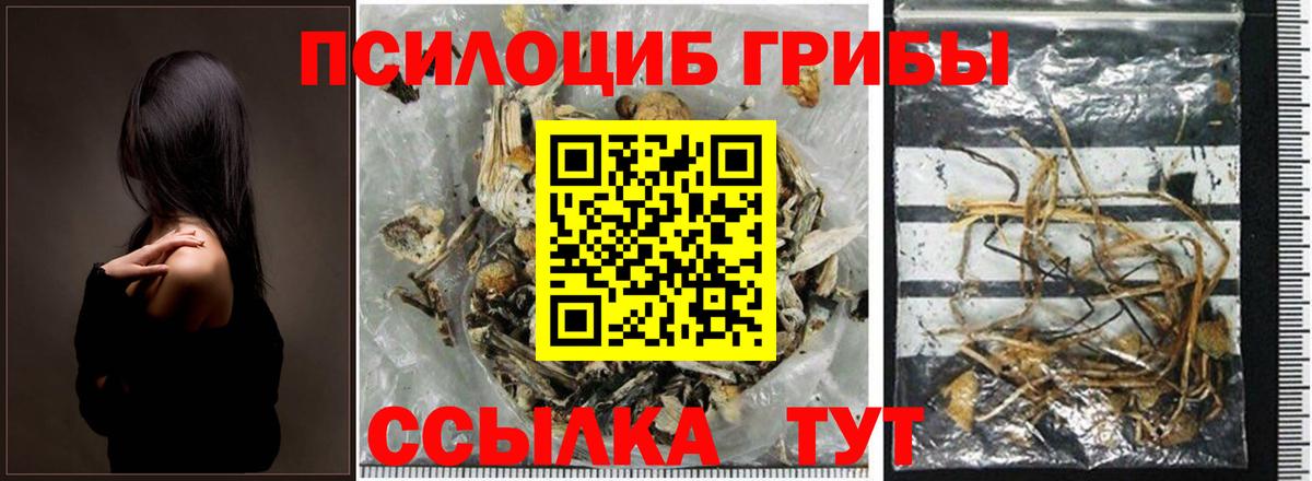 Галлюциногенные грибы ЛСД  Вход с VPN  Куйбышев  Псилоцибиновые грибы Cubensis 